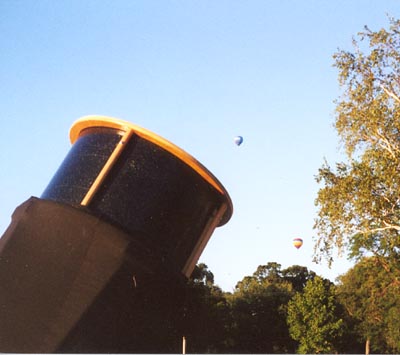 Balloons over the Park